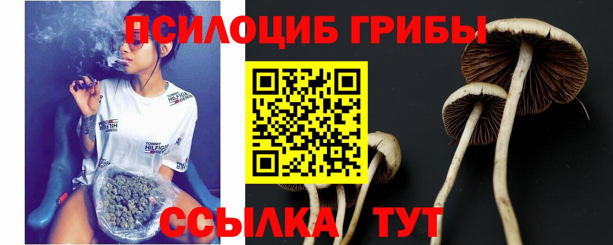 Азнакаево  наркотики  Вход с VPN  Псилоцибиновые грибы прущие грибы  Псилоцибиновые грибы Magic Shrooms 